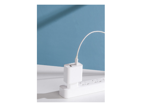 Xiaomi Mi 33W Wall Charger (TypeA+Type-C) EU BHR4996G2