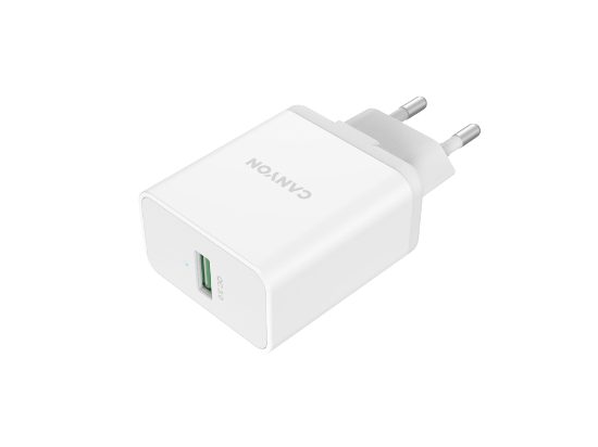 CANYON Wall charger 1xUSB White CNE-CHA24W