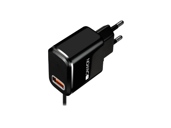 CANYON H-041 Universal 1xUSB charger Micro USB CNE-CHA041BS