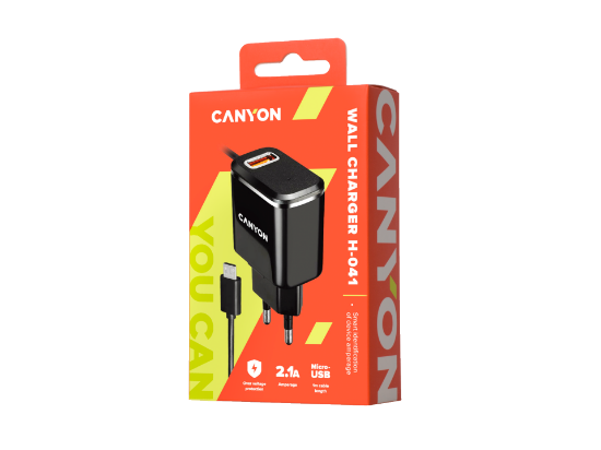 CANYON H-041 Universal 1xUSB charger Micro USB CNE-CHA041BS2