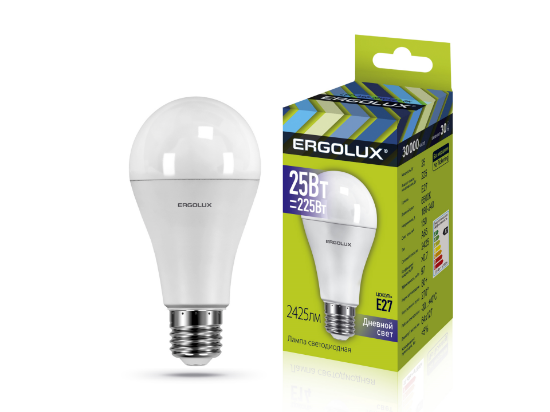 Ergolux LED-A65-25W-E27-6K - ի նկար