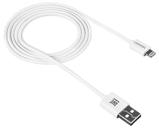 Մալուխ CANYON CFI-1 Lightning USB Cable for Apple 1m White CNE-CFI1W - ի նկար