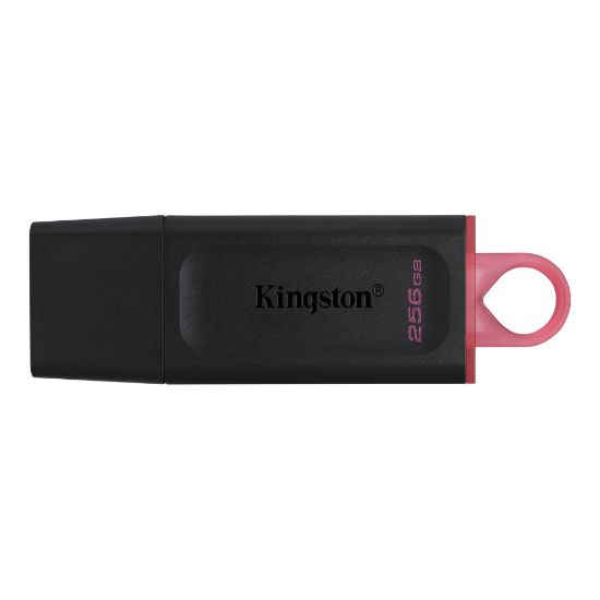 Հիշողության քարտ Flash Kingston 256GB DTX - ի նկար