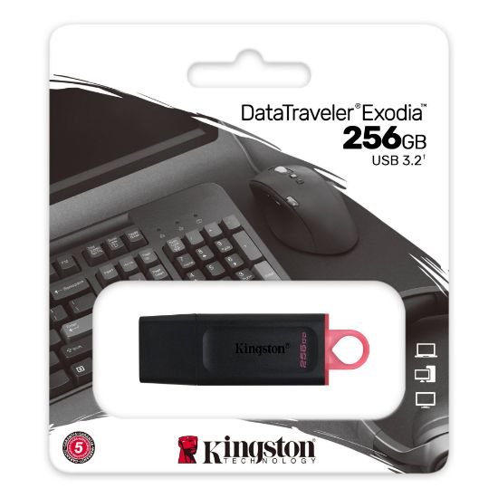 Հիշողության քարտ Flash Kingston 256GB DTX - ի նկար