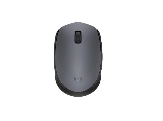 Մկնիկ Logitech Mouse M170 Grey (L910-004646) - ի նկար