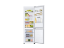 Picture of Refrigerator Samsung RB36T604FW / WT: