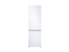 Picture of Refrigerator Samsung RB36T604FW / WT: