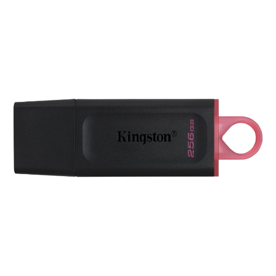 Picture of Memory Card Flash Kingston 256GB DTX: