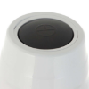 Picture of Vegetable Hyundai Hycg2110