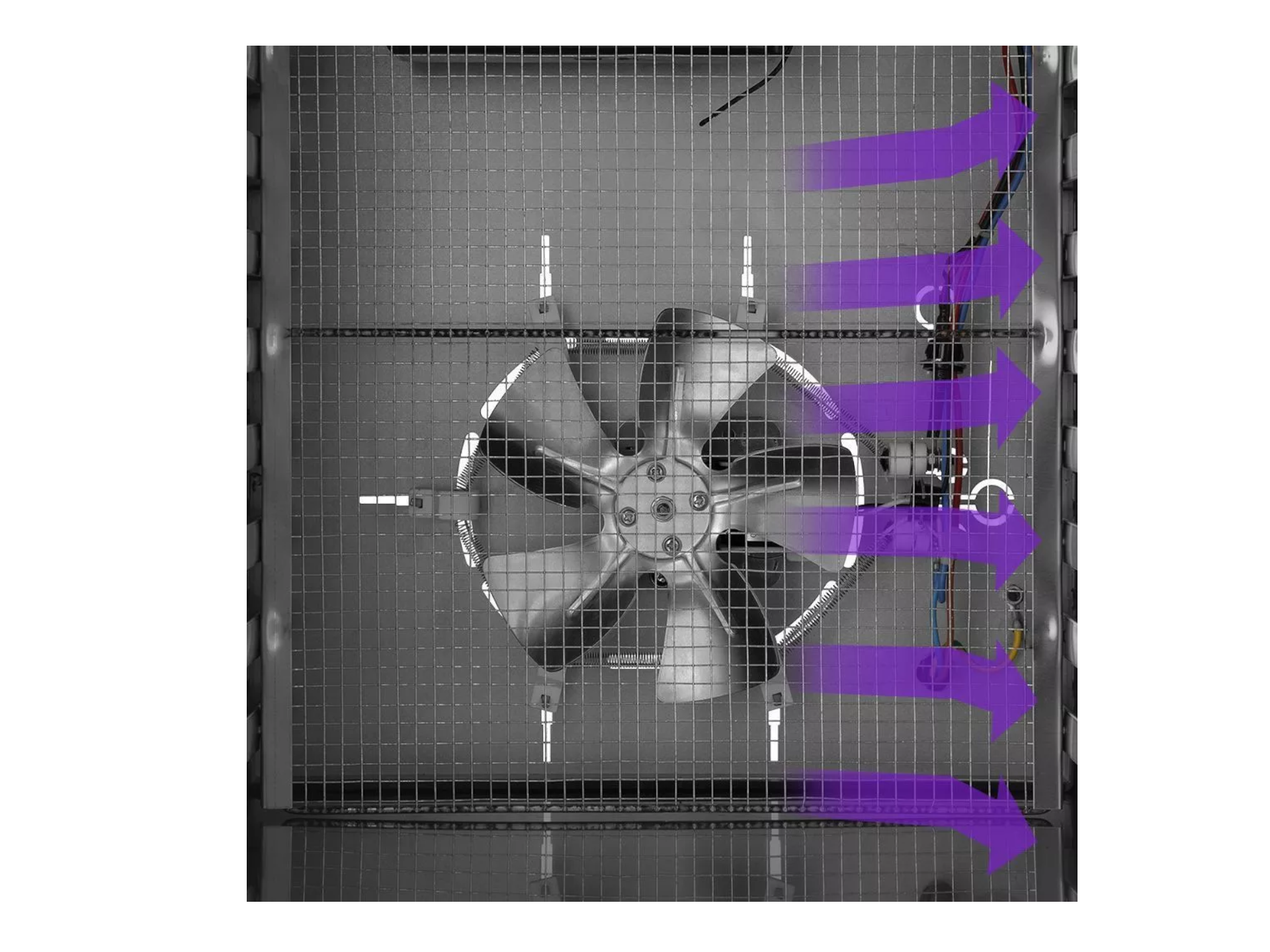 Show details for Dried device Kitfort KT-1924 Picture of Dried device Kitfort KT-1924