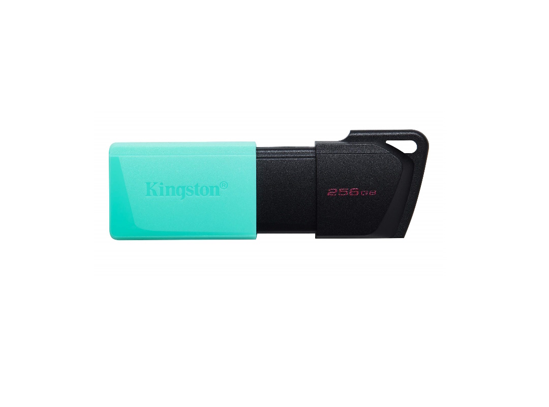 Հիշողության քարտ Flash Kingston 256GB DTXM - ի նկար