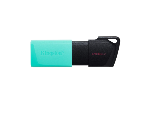 Հիշողության քարտ Flash Kingston 256GB DTXM - ի նկար
