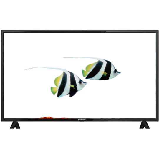 Հեռուստացույց  TV Starwind 43" SW-LED43BA201 - ի նկար