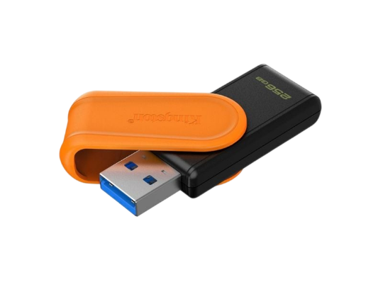 Picture of Memory card Flash Kingston 256GB DTXS