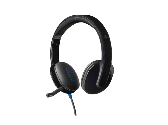 Ականջակալ Logitech Headset H540-EMEA (L981-000480) - ի նկար